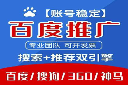 某某sem代运营公司：精准投放的背后策略